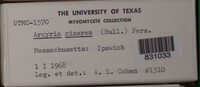 Image Associated With the Occurence